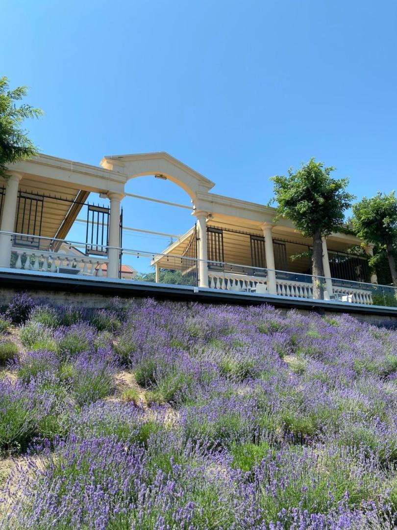 La Gioconda Boutique Hotel Odessa Exteriör bild